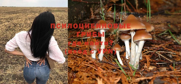 дурь Алзамай